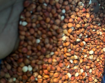 All natural Red Sorghum / Sorghum / Product of Ghana / 2 pounds