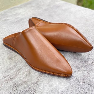 May include: A pair of brown leather slip-on shoes with pointed toes. The shoes have a smooth, polished finish and are stitched along the edges. The footwear is designed for comfort and style, suitable for casual or indoor wear.