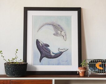 May include: A framed watercolor illustration of a whale skeleton and a whale swimming in a circle. The artwork is on a white background with a light blue watercolor wash. The frame is black.