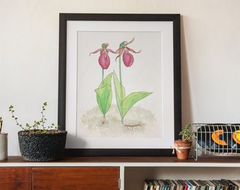 Pink Lady Slipper Studie, Druck von Original Aquarell, Einzigartige Orchidee Blume