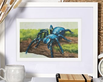 Saphir Blaue Tarantula Poster, Druck von Original Aquarell, Arachnid Illustration