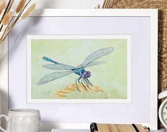 Libelle Poster, Druck von Original Aquarell, Insekt Fine Art