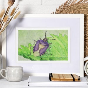 Könnte beinhalten: Ein gerahmtes Aquarellbild eines lila und braunen Käfers auf einem grünen Blatt. Das Bild befindet sich auf einem weißen Regal mit einer weißen Vase mit getrockneten Blumen, einer weißen Tasse, einem Stapel Büchern und einem weißen Wecker.