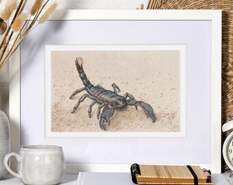 Skorpion Poster, Druck von Original Aquarell, Arachnid Fine Art