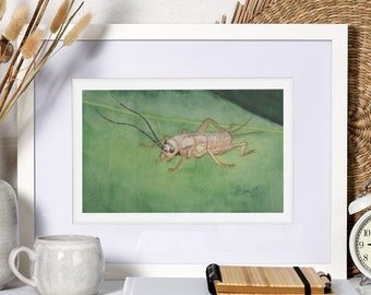 Cricket Poster, Druck von Original Aquarell, Insekt Wand Dekor