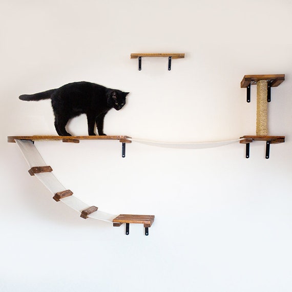 cat wall activity centre