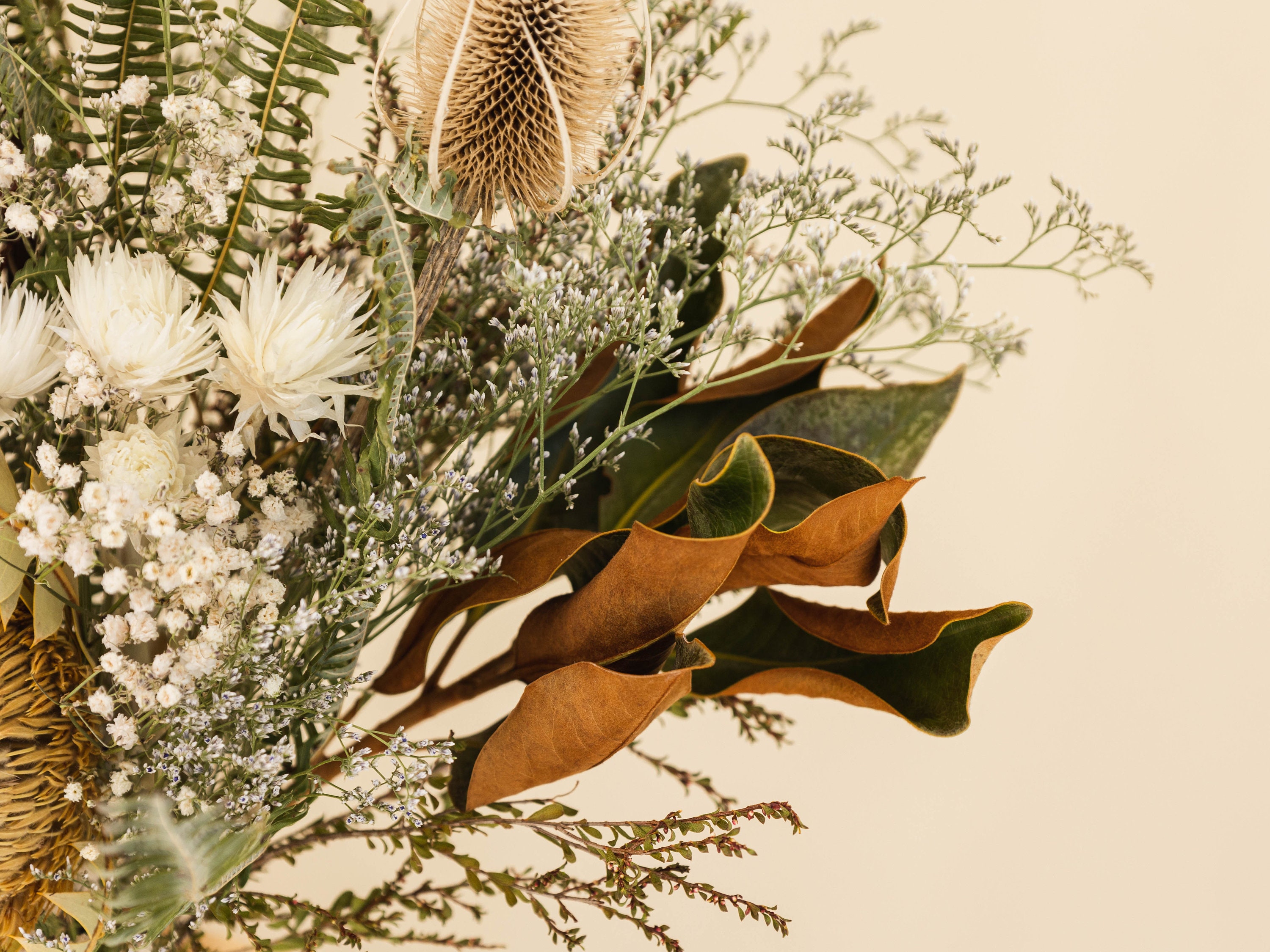 Australian Dried and Preserved Native Flower Bouquet Protea Etsy