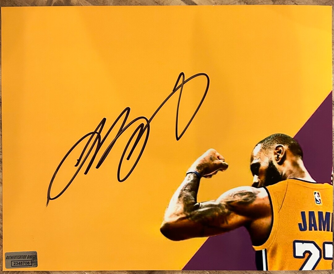 signed lebron jersey lakers
