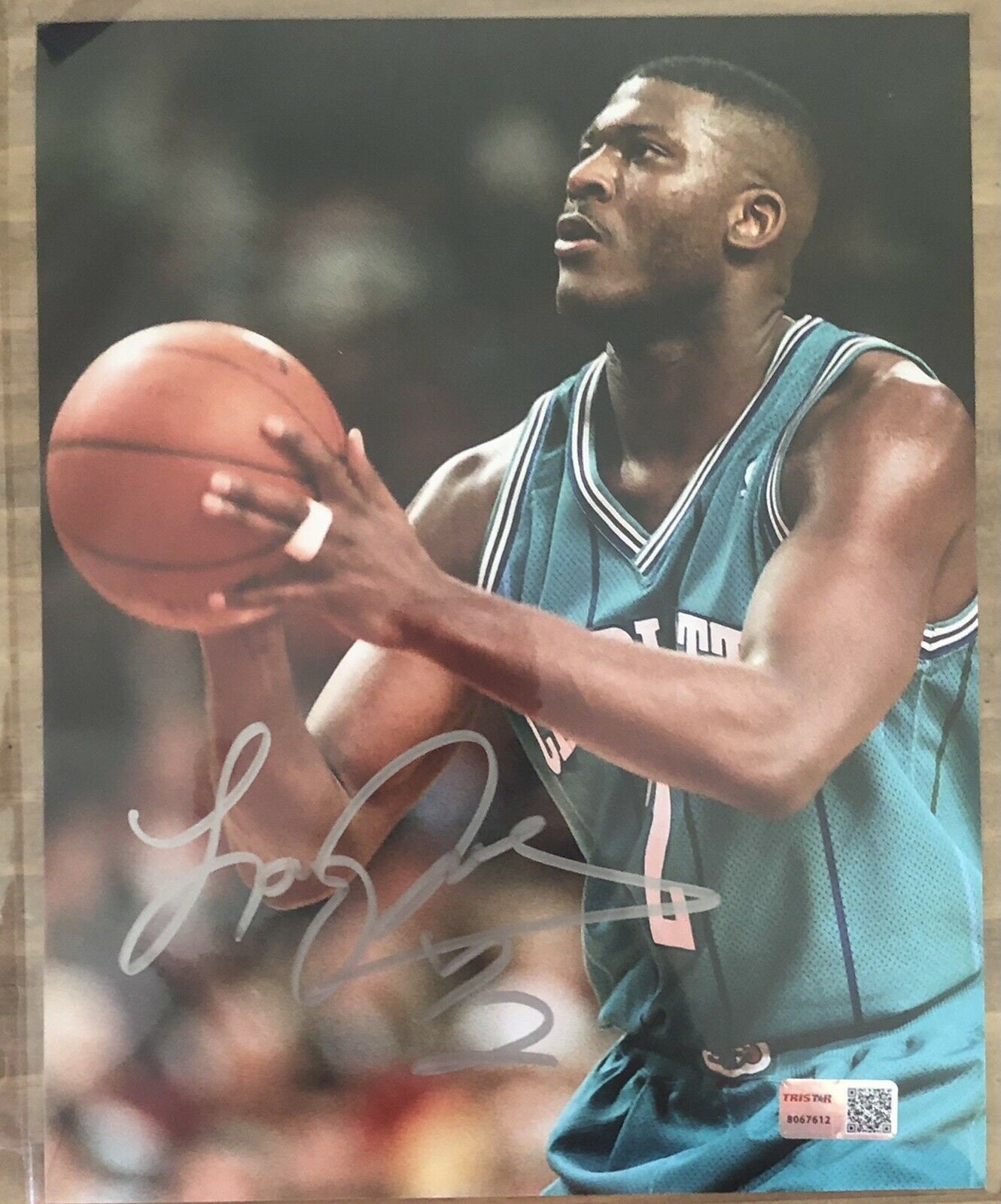 LARRY JOHNSON Charlotte Hornets Signed 8x10 With Tristar COA 