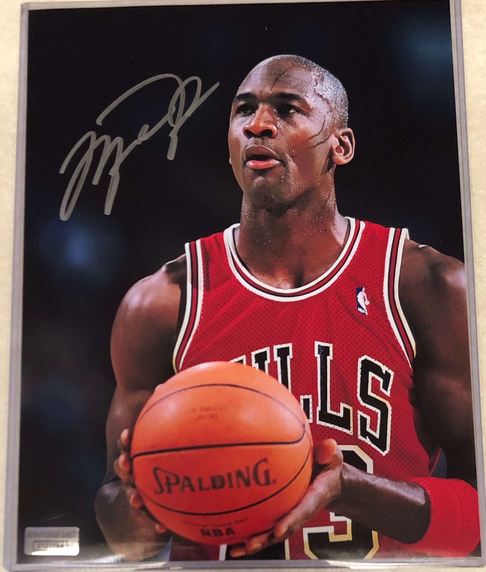 Michael Jordan  PSA AutographFacts℠