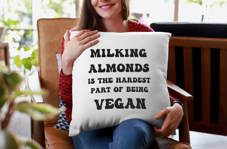 Funny Throw Pillow Covers Decorative Pillow Housewarming Etsy New Zealand