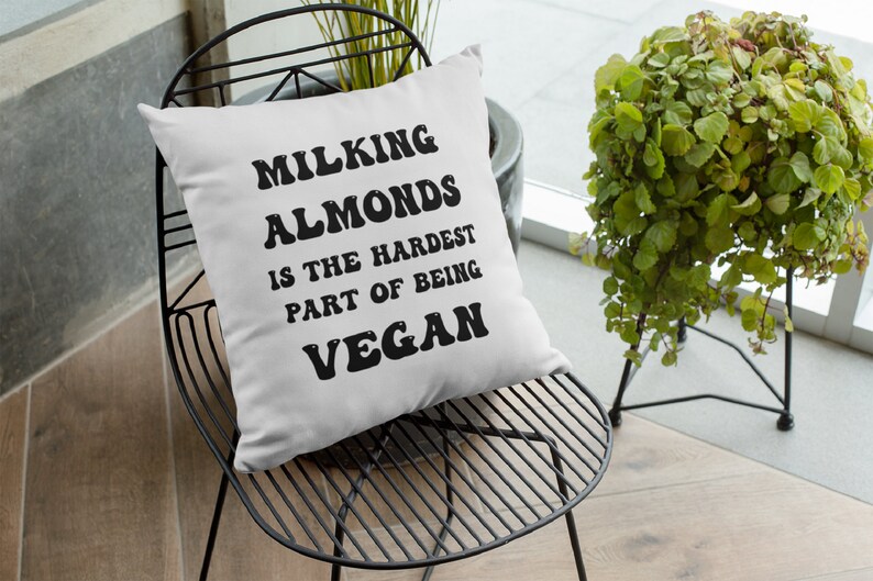 Funny Throw Pillow Covers Decorative Pillow Housewarming Etsy New Zealand
