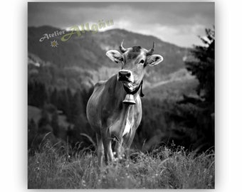Canvas, Allgäu, Allgäu souvenir, cattle, brown cattle, Alps, alpine meadow, alp, canvas print, picture, gift, Oberallgäu, gift