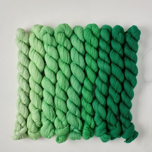 May include: A set of eight skeins of yarn in shades of green, ranging from light to dark. The yarn is arranged in a gradient, with the lightest shade at the top and the darkest shade at the bottom.