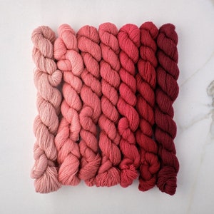 Appletons Wool -  Bright Terra Cotta (221 – 227)