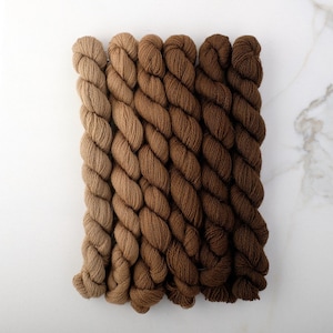 May include: Six skeins of yarn in shades of brown, ranging from light to dark. The yarn is arranged in a gradient, with the lightest shade at the top and the darkest shade at the bottom.