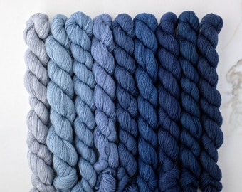 Appletons Wool -  Dull China Blue (921-929)