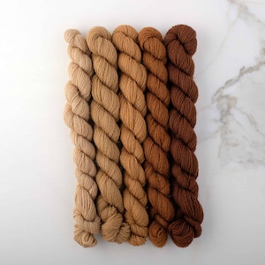 May include: Six skeins of yarn in various shades of brown, from light beige to dark brown. The yarn is arranged in a gradient from lightest to darkest.