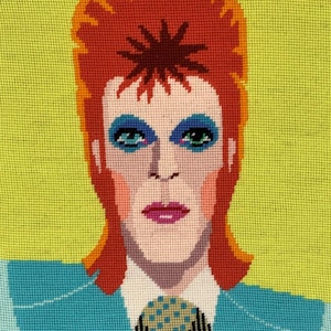 Appletons Kits – Portraits Range David Bowie