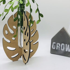 FileONLY | Estação de Propagação de Folhas de Monstera de 4 Lg | Somente 5 mm e 3 mm | ARQUIVO SVG DIGITAL | Cortador a Laser | Glowforge | Propagação Propagate
