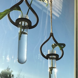 Puede incluir: Dos soportes para plantas colgantes de madera, con forma de lágrima, con tubos de ensayo de vidrio transparente llenos de agua y una pequeña planta en cada uno.