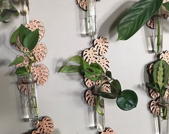 Blatt hngende Vermehrung Reagenzglas Station, Monstera Blatt Vermehrung,  Weihnachtsgeschenk fr Pflanzenliebhaber, Geschenk fr Pflanzenliebhaber,  Wanddekor Vase - Etsy.de
