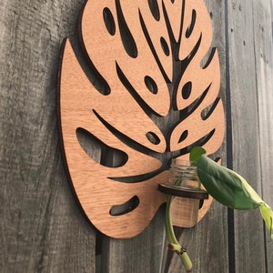 FileONLY - één groot monsterabladvermeerderingsstation 5 mm - DIGITAAL SVG-BESTAND | Glowforge lasersnijder diy planten verspreiden kamerplanten