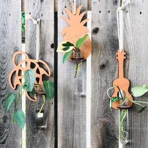 Puede incluir: Tres colgadores de plantas de madera con tubos de ensayo de vidrio, colgados de una valla de madera. Los colgadores tienen forma de piña, tortuga y guitarra. Cada colgador tiene una pequeña planta que crece en el tubo de ensayo.