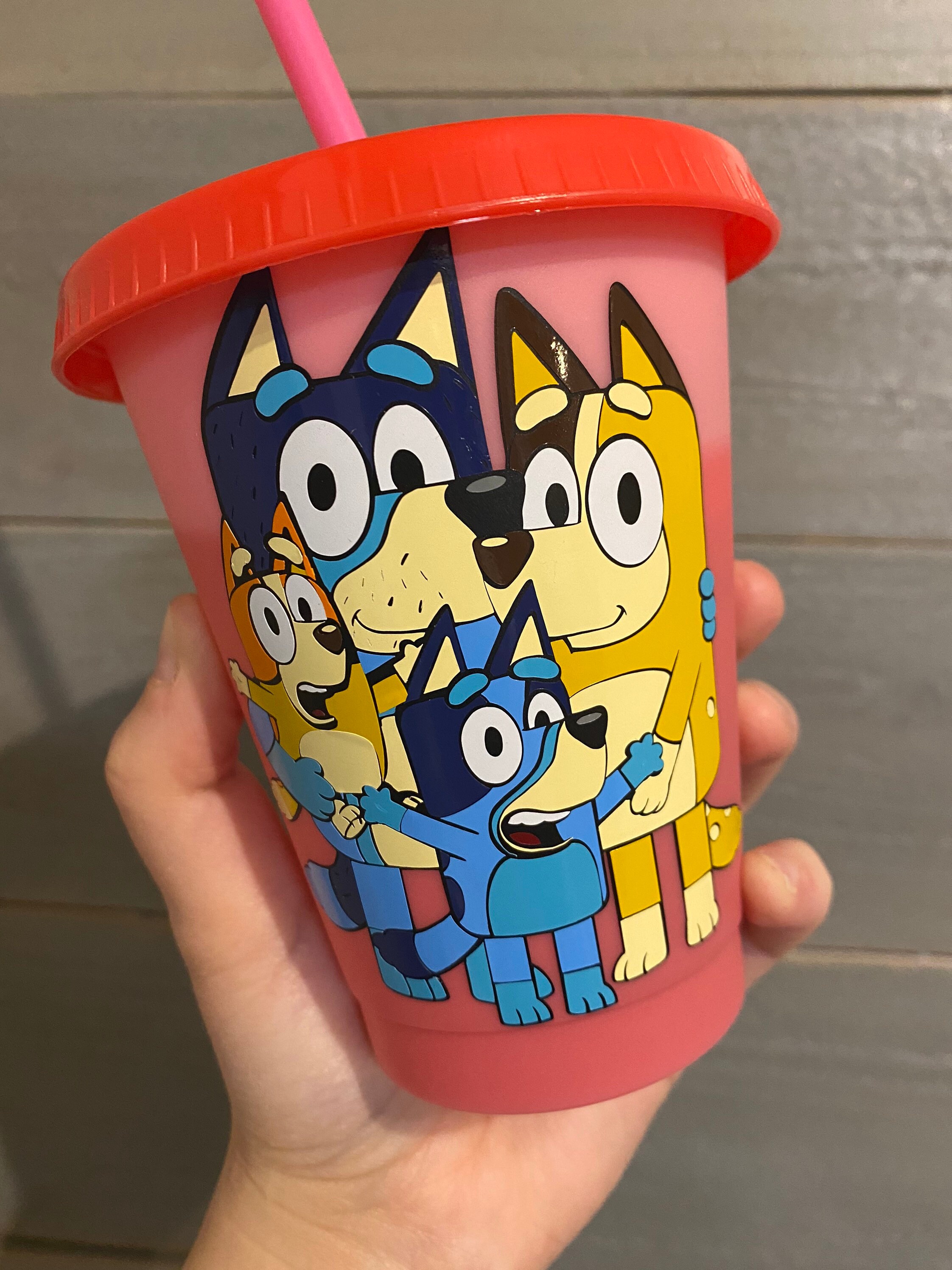 Bluey Inspired Color Changing Kids Cup Etsy