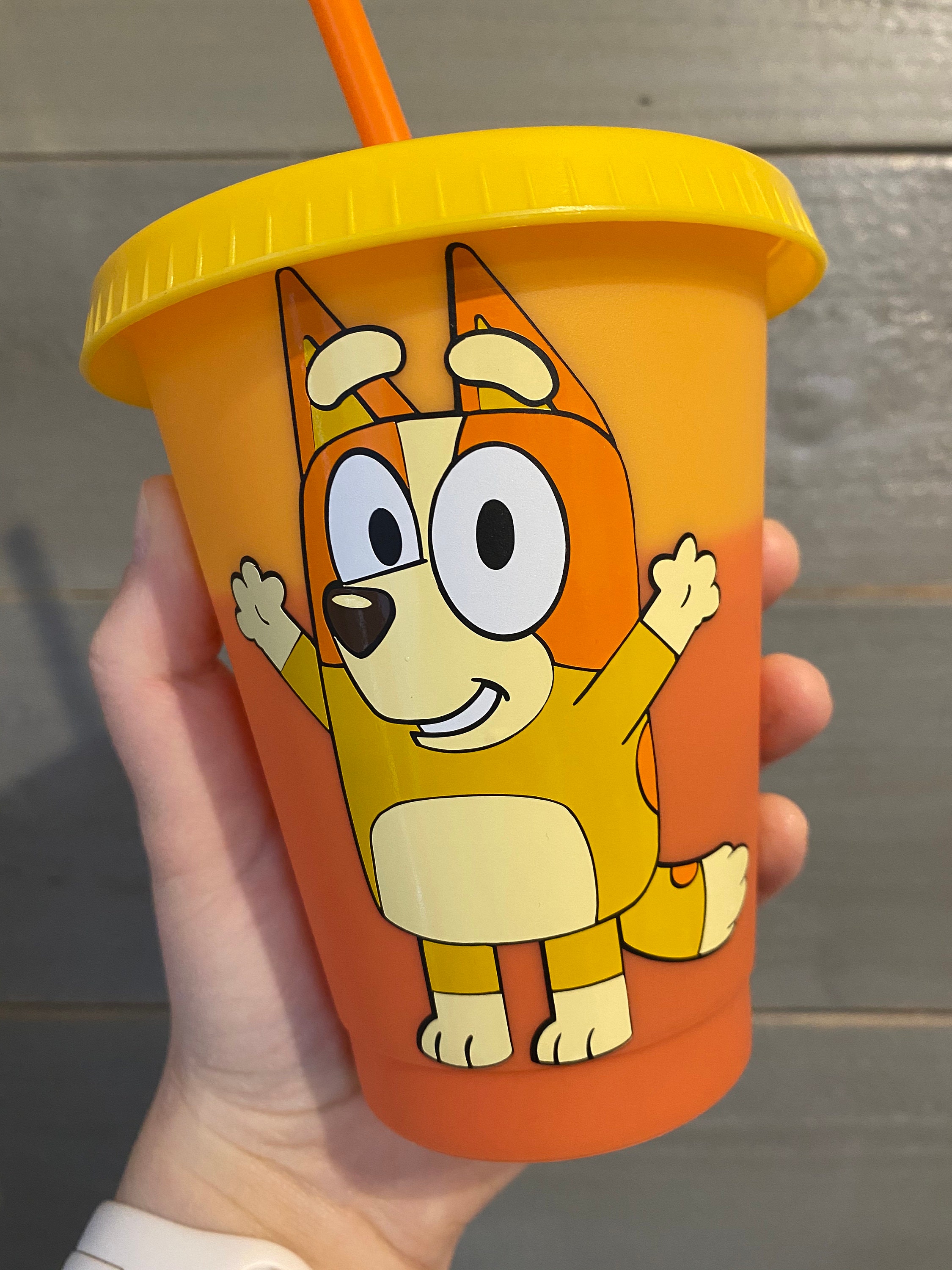 Bluey Inspired Color Changing Kids Cup Etsy Canada