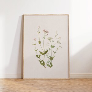 Vintage Botanical Illustration, Antique Botanical Flower Print, French country decor, Floral Art Prints, Vintage Wall Art, PRINTABLE art