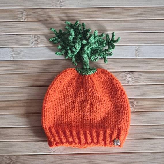 Carrot Hat/vegetable Knit Hat/carrot Knit Hat/veggies Knitted Hat