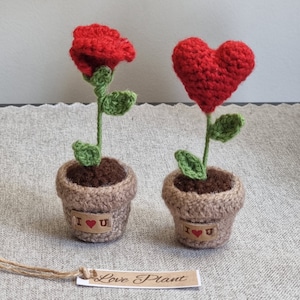 May include: Two crocheted love plant decorations. One has a red flower and the other has a red heart. Both are in brown pots with the words "I love U" on the front.