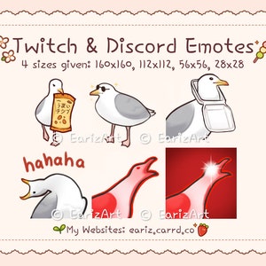 Emote Twitch / Pacchetto emote Discord (6) / Emote uccello gabbiano meme carino