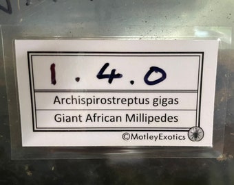 Terrarium Label With Blank Space, Laminated Enclosure Label Exotic Pet Invertebrate Animal Stick Leaf Insect Millipede Snail Isopod