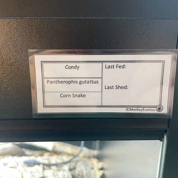 Reptile Enclosure Etsy