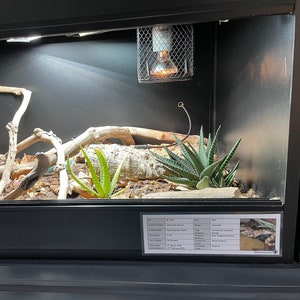 Ball / Royal Python (Python regius) Laminiertes Gehäuseetikett Exotisches Haustier informativ anpassbar