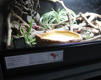Leopard Gecko (Eublepharis macularius) Laminated Enclosure Label Exotic Pet Informative Customisable