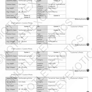 May include: A table with information about corn snakes, including their scientific name, common name, average length, average lifespan, type, category, predation method, and country of origin. The table is divided into sections for different types of custom orders, including 5 custom, 6 half-custom, 7 half-custom, and 8 non-custom.