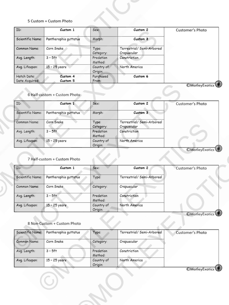 Ball/ Royal Python python Regius Laminated Enclosure Label | Etsy