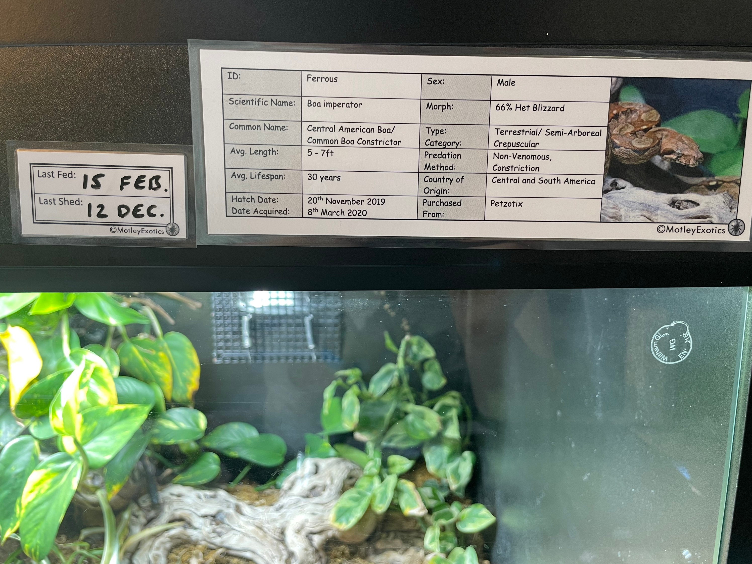 Vivarium Label With Event Record Laminated Enclosure Label Exotic Pet ...