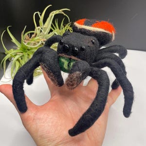 Widow Jumping Spider Phidippus ardens Handmade Sculpture