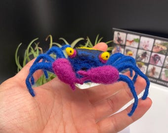 Vampire Crab realistic sculpture- handmade by needle-felting