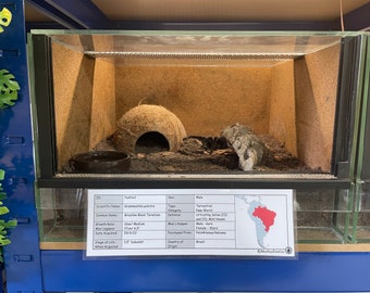 Enclosure/ Vivarium Label for exotic pet vivariums Tarantulas