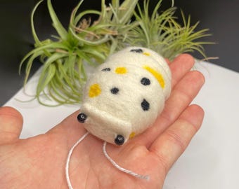 Magic Potion Isopod Woodlouse Handmade Needle-Felted Creatures Armadillidium vulgare