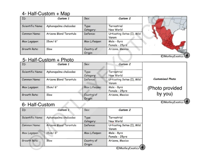 Brachypelma hamorii ex. smithi Mexican Red Knee Tarantula Laminated Enclosure Label Exotic Pet Informative Customisable image 4