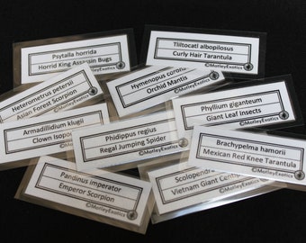 Small Terrarium Label Laminated Enclosure Label Exotic Pet Informative Customisable Spider Scorpion Mantis Invertebrate Animal Snail Isopod