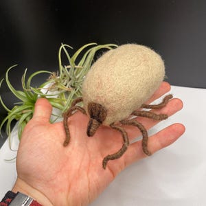 Dog Tick Handmade Realistic Needle felt Sculpture
