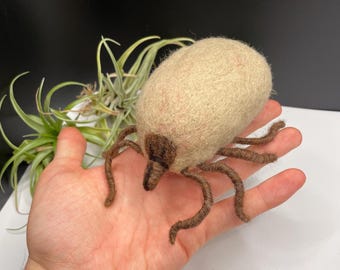 Dog Tick Handmade Realistic Needle felt Sculpture