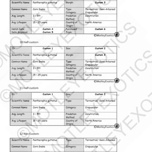 May include: A table with information about the corn snake, Pantherophis guttatus. The table includes information about the snake's scientific name, common name, average length, average lifespan, type, category, predation method, country of origin, and other details. The table is labeled with the numbers 9, 10, 11, and 12, and the words "Custom", "Half-custom", and "Non-Custom".